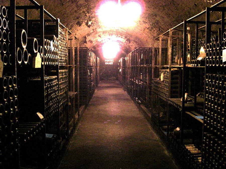 Bodega